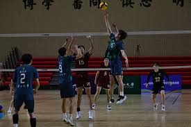 这正是老将